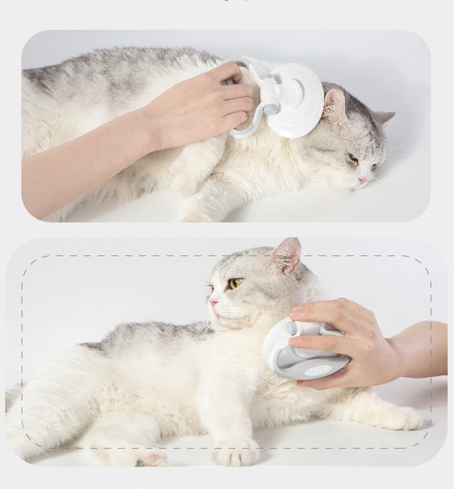 Self-cleaning wire brush for pets
